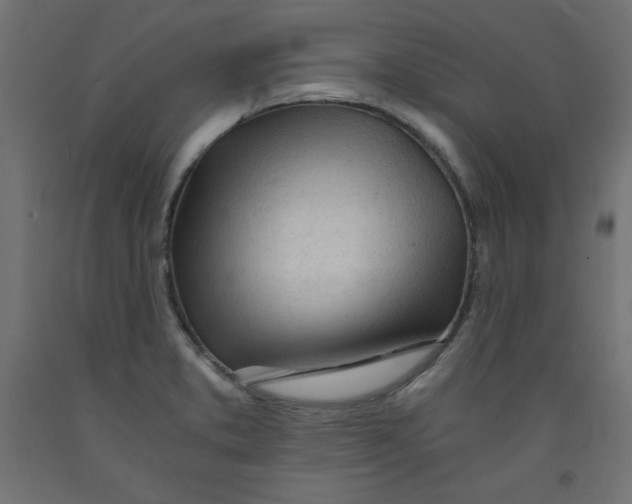 X0000092311373200710121450
