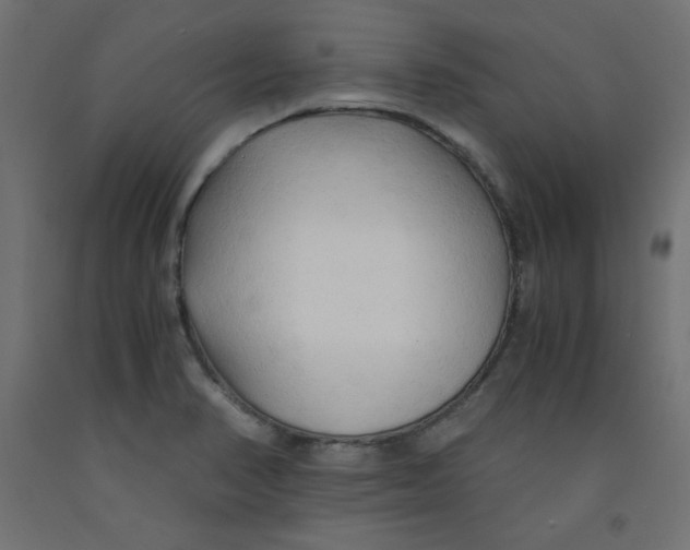 X0000092311374200710121450