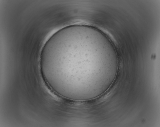 X0000092311375200710121450