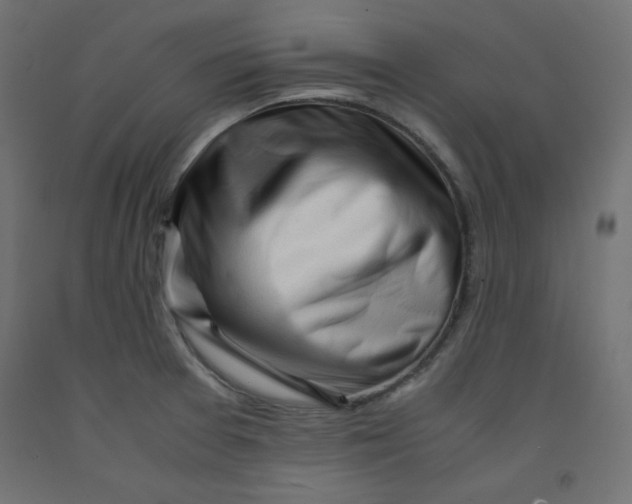 X0000092311377200710121450