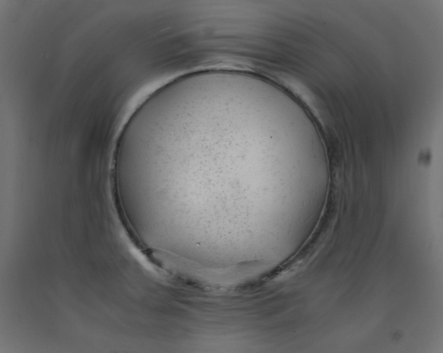 X0000092311379200710121450