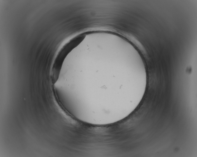 X0000092311380200710121450