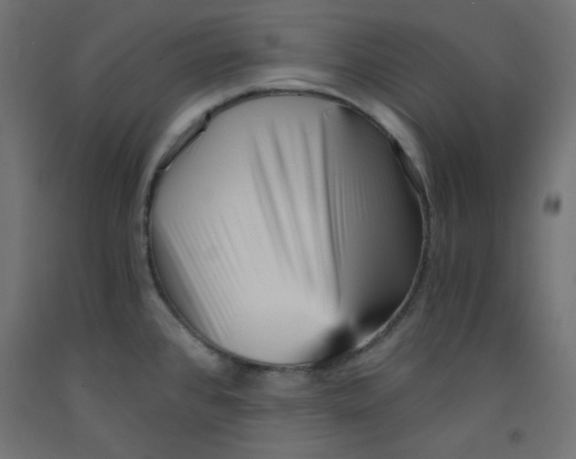 X0000092311384200710121449