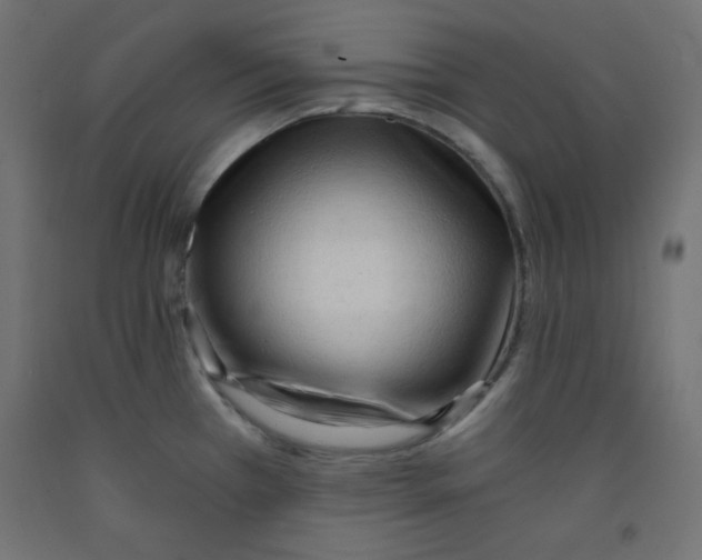 X0000092311385200710121449
