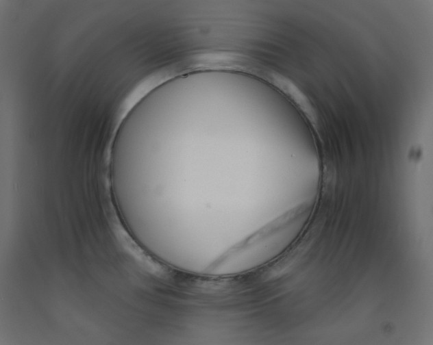 X0000092311386200710121449