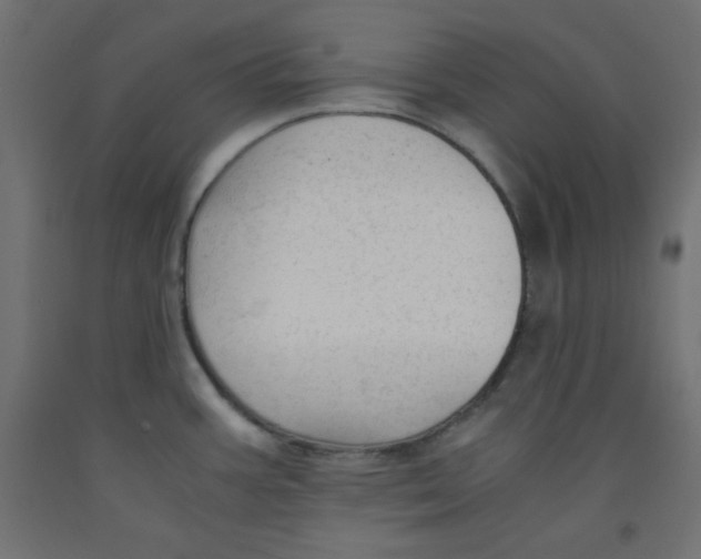 X0000092311387200710121449