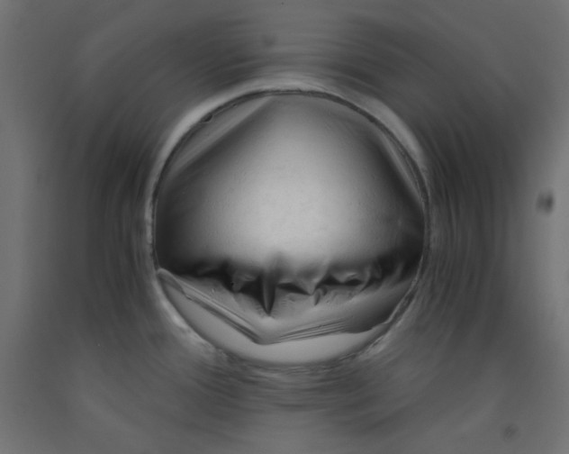 X0000092311388200710121449