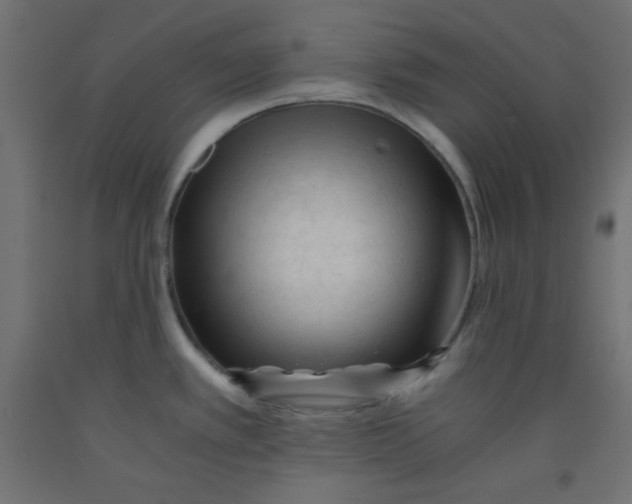 X0000092311389200710121449