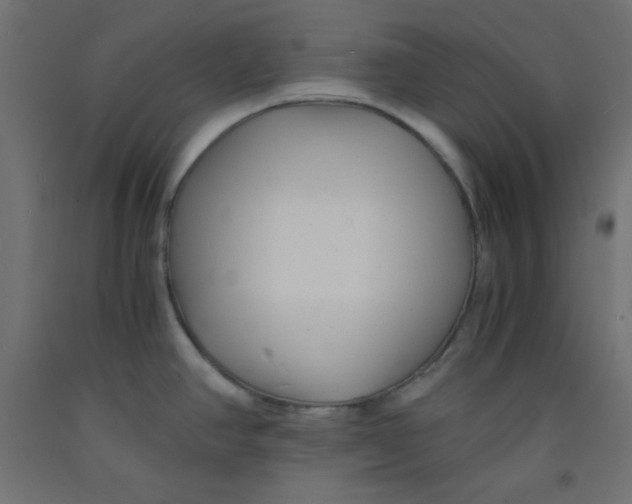 X0000092311390200710121449