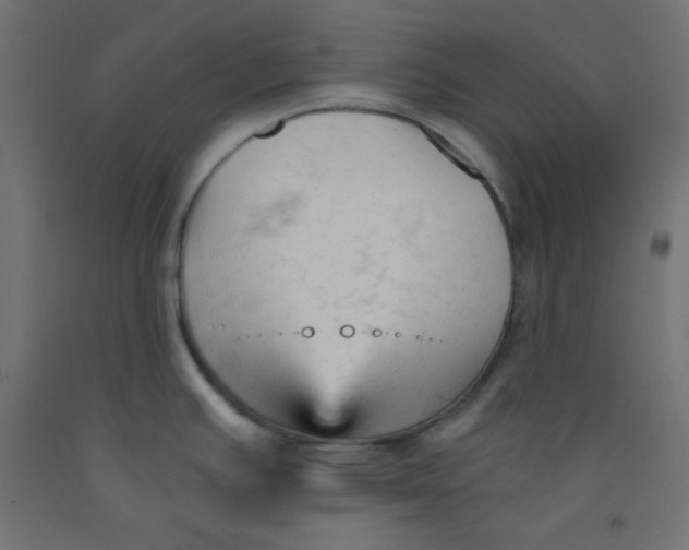 X0000092311391200710121449