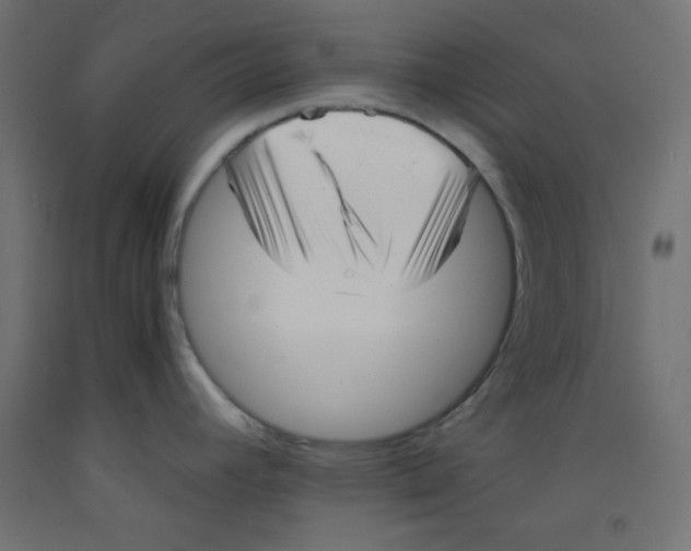 X0000092311392200710121449