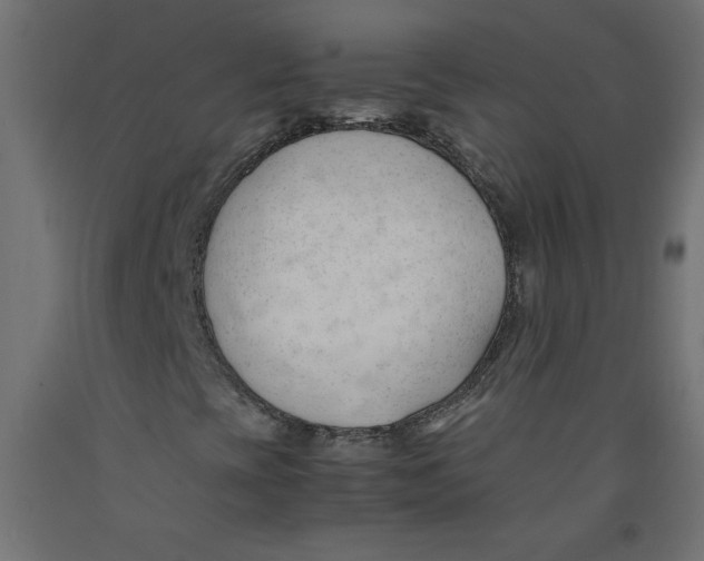 X0000092311393200710121449