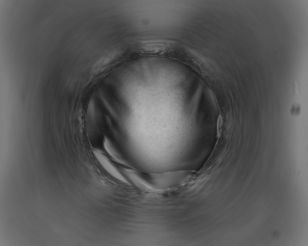 X0000092311394200710121449