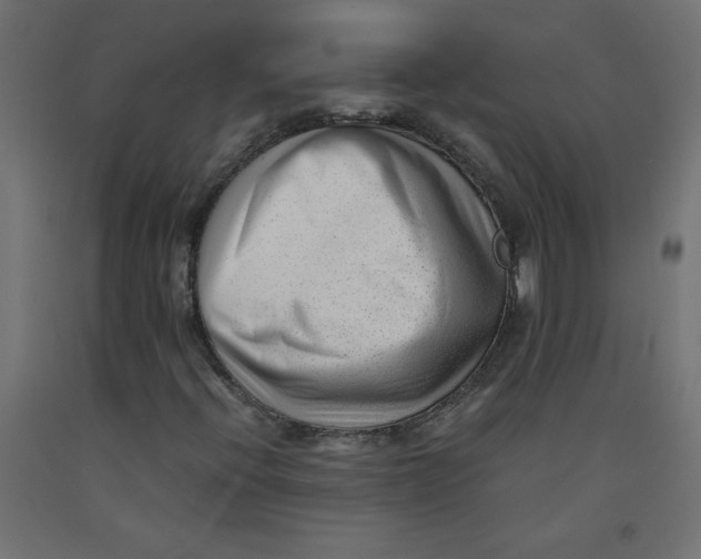 X0000092311396200710121449