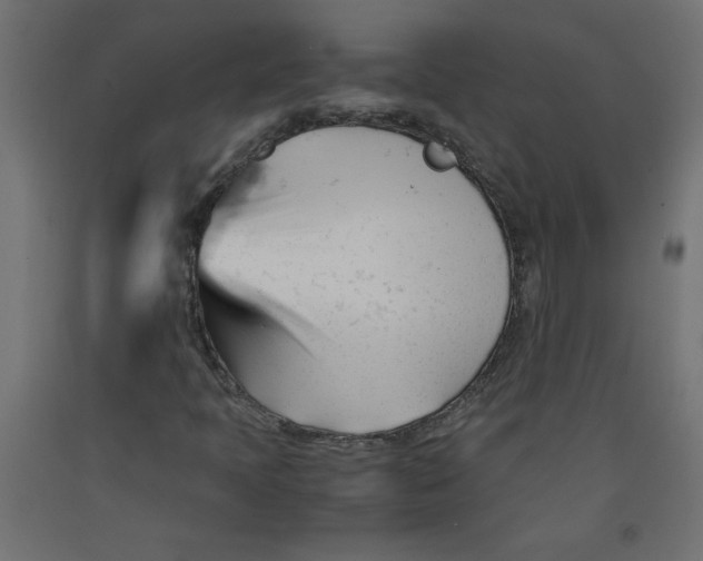X0000092311397200710121449