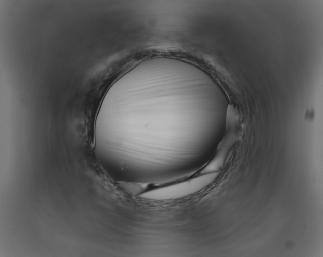 X0000092311398200710121449
