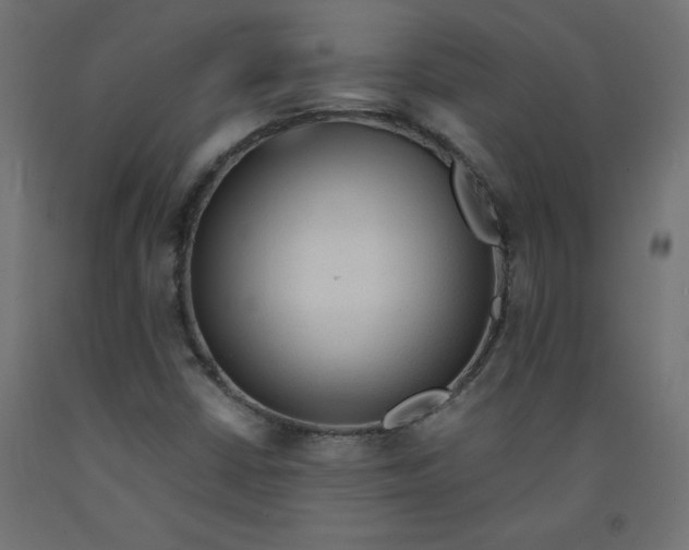 X0000092311402200710121449