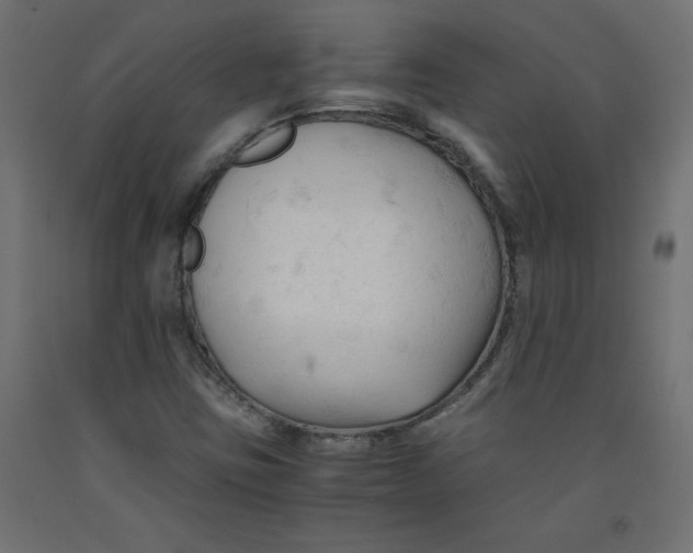 X0000092311403200710121449