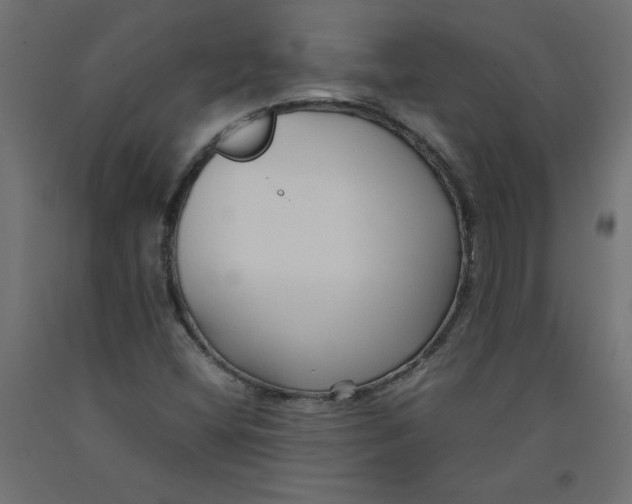 X0000092311404200710121449