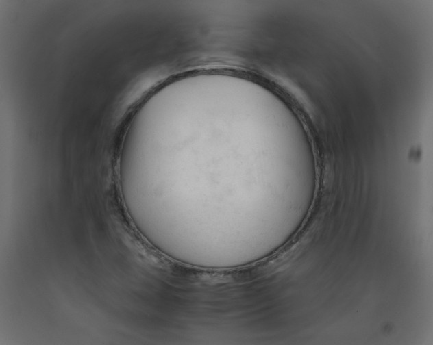 X0000092311407200710121449