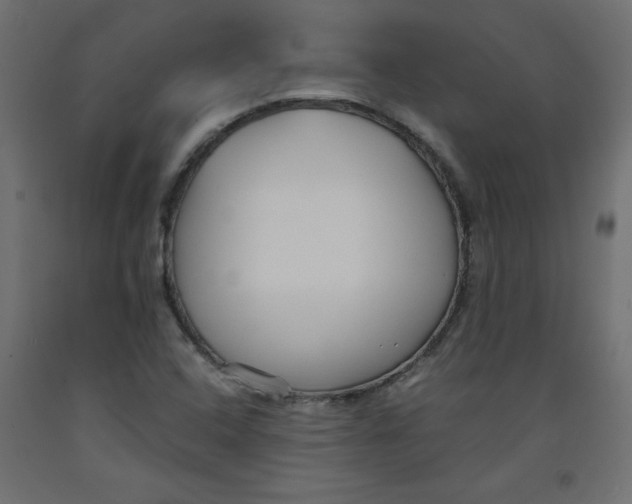 X0000092311408200710121449