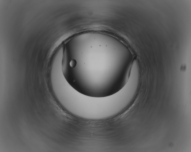 X0000092311410200710121449