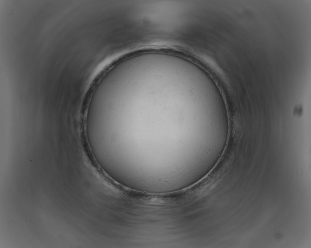 X0000092311412200710121449