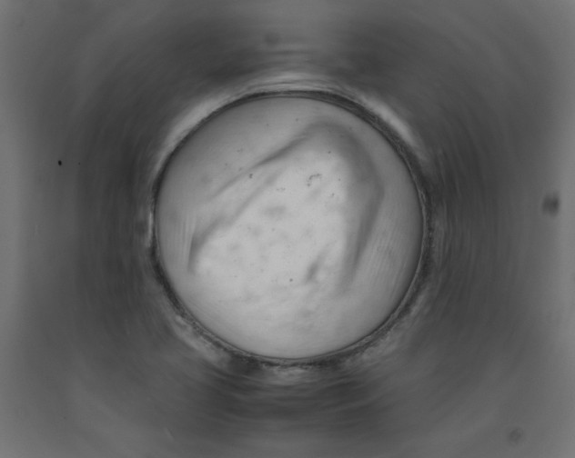 X0000092311413200710121449
