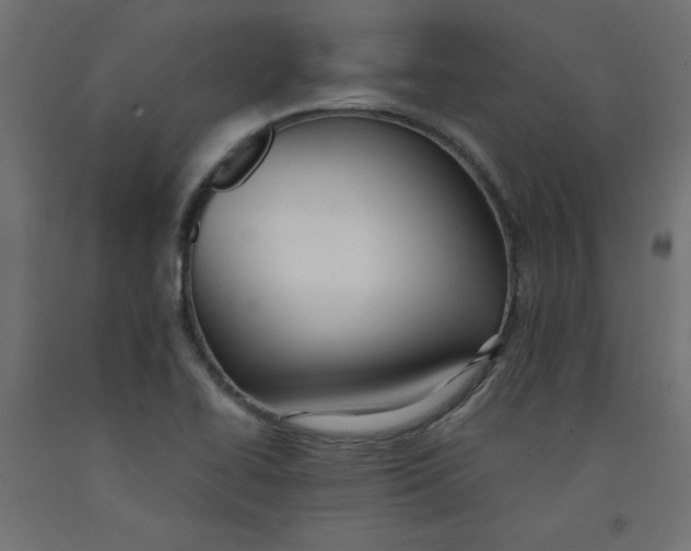 X0000092311414200710121449