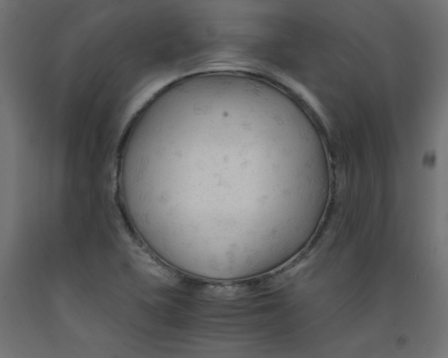 X0000092311415200710121449