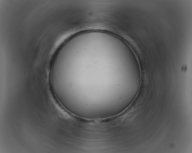 X0000092311416200710121449