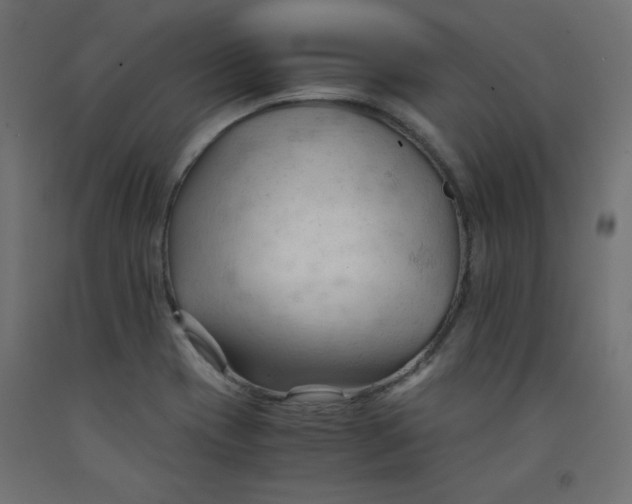 X0000092311417200710121449