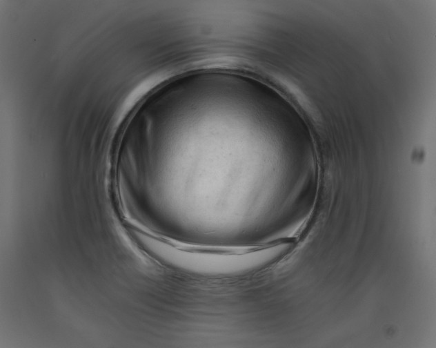 X0000092311418200710121449