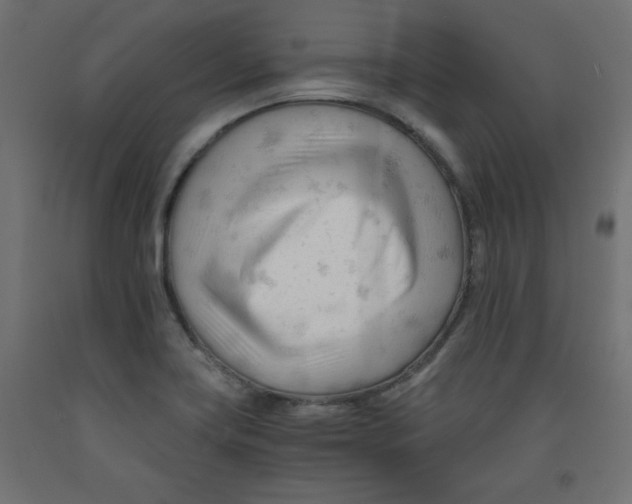 X0000092311419200710121449