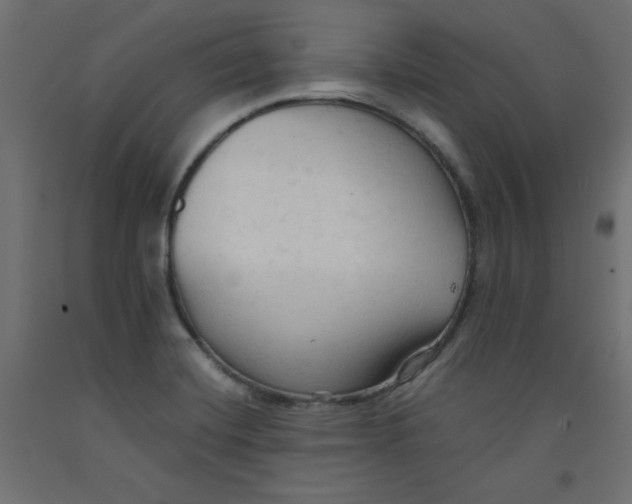 X0000092311420200710121449