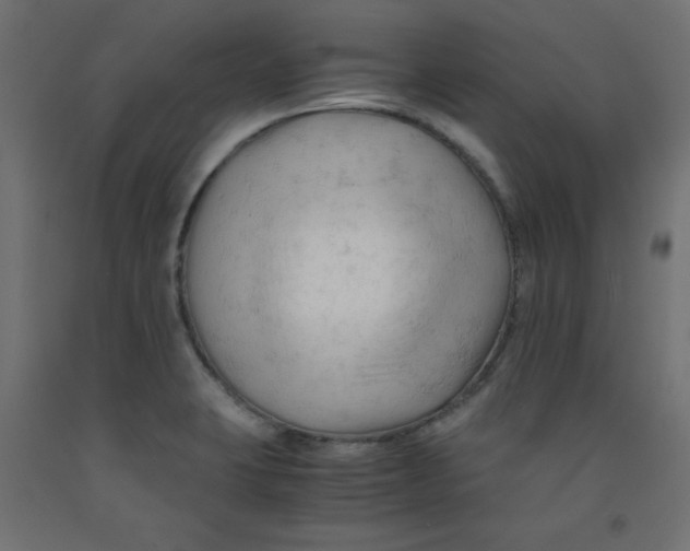 X0000092311423200710121449