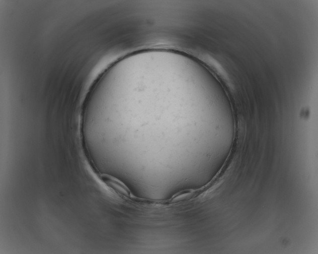 X0000092311424200710121449