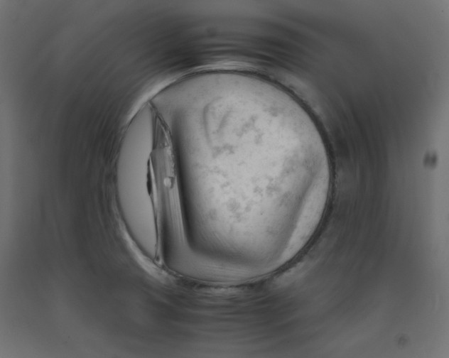 X0000092311425200710121449