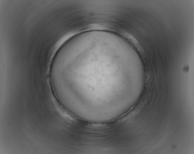 X0000092311427200710121449
