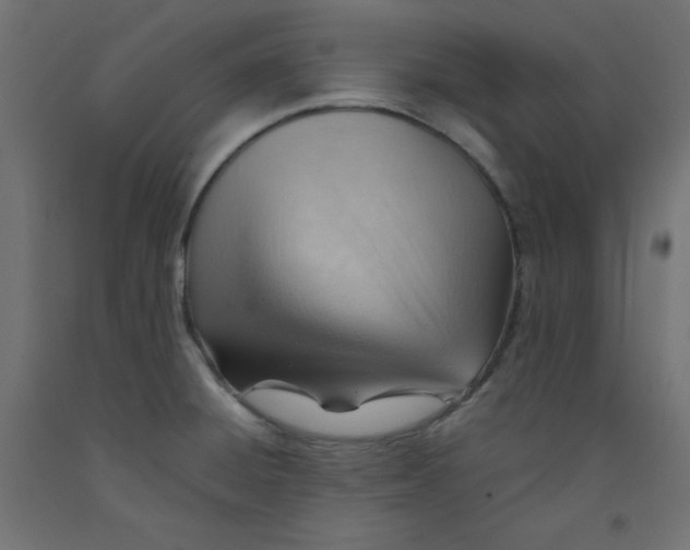 X0000092311428200710121449
