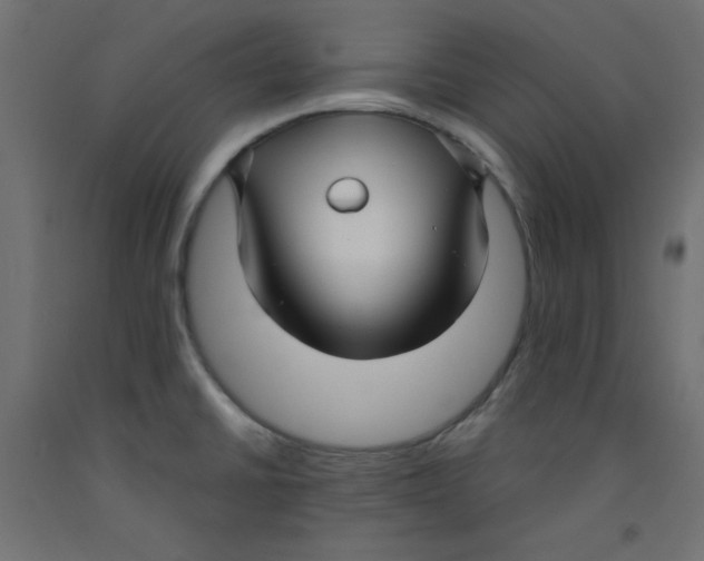 X0000092311430200710121449