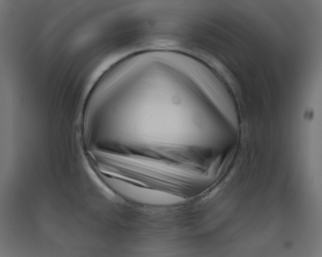 X0000092311432200710121449