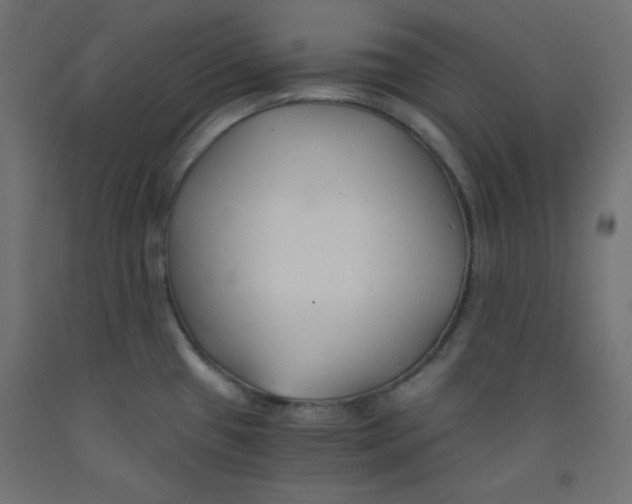X0000092311433200710121449