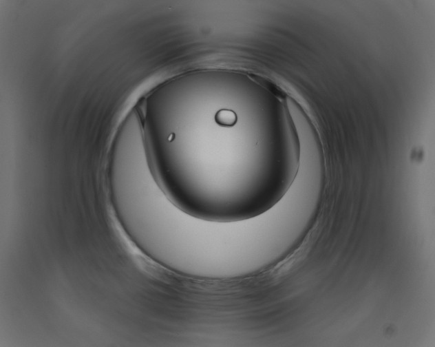 X0000092311434200710121449
