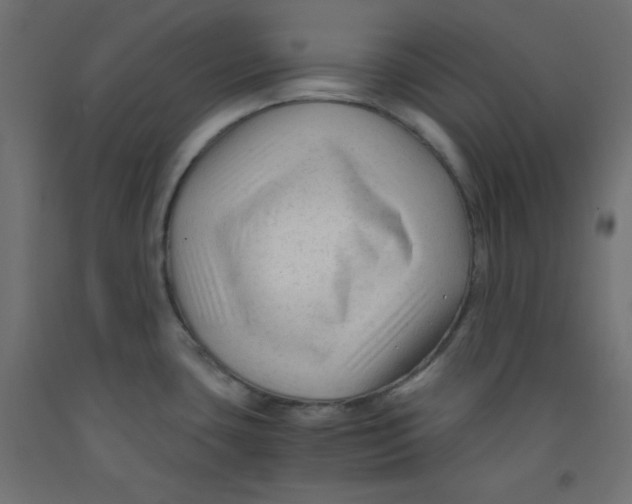 X0000092311435200710121449