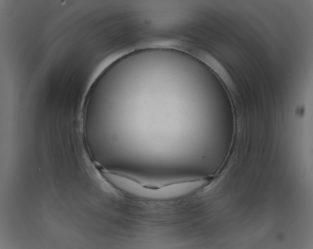 X0000092311436200710121449