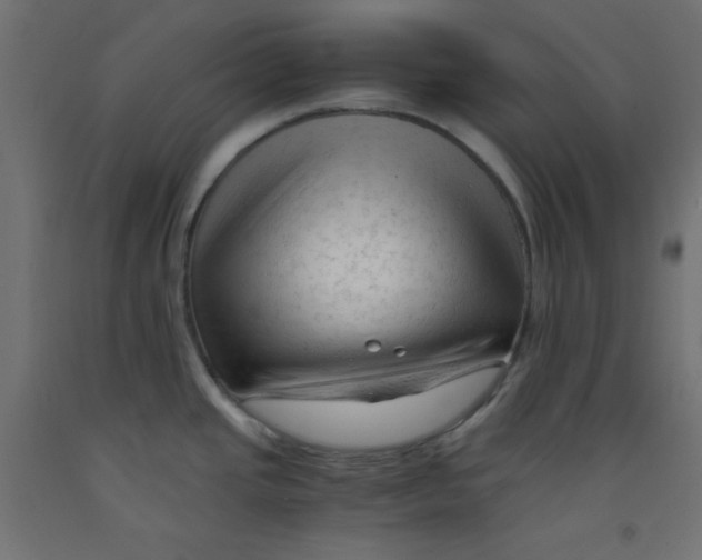 X0000092311437200710121449