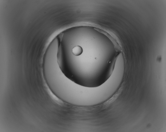 X0000092311438200710121449