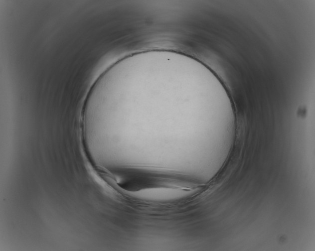 X0000092311439200710121449