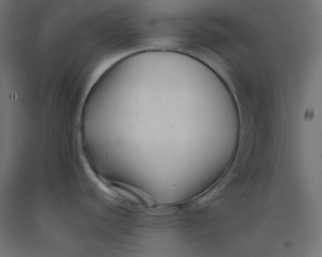 X0000092311440200710121449